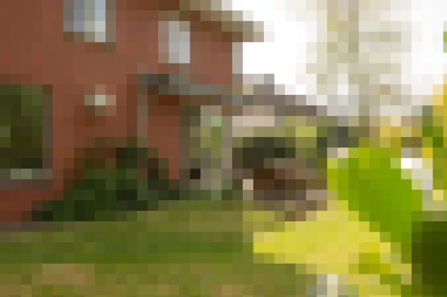 Lepelstraat 11 Achtmaal thumbnail 30