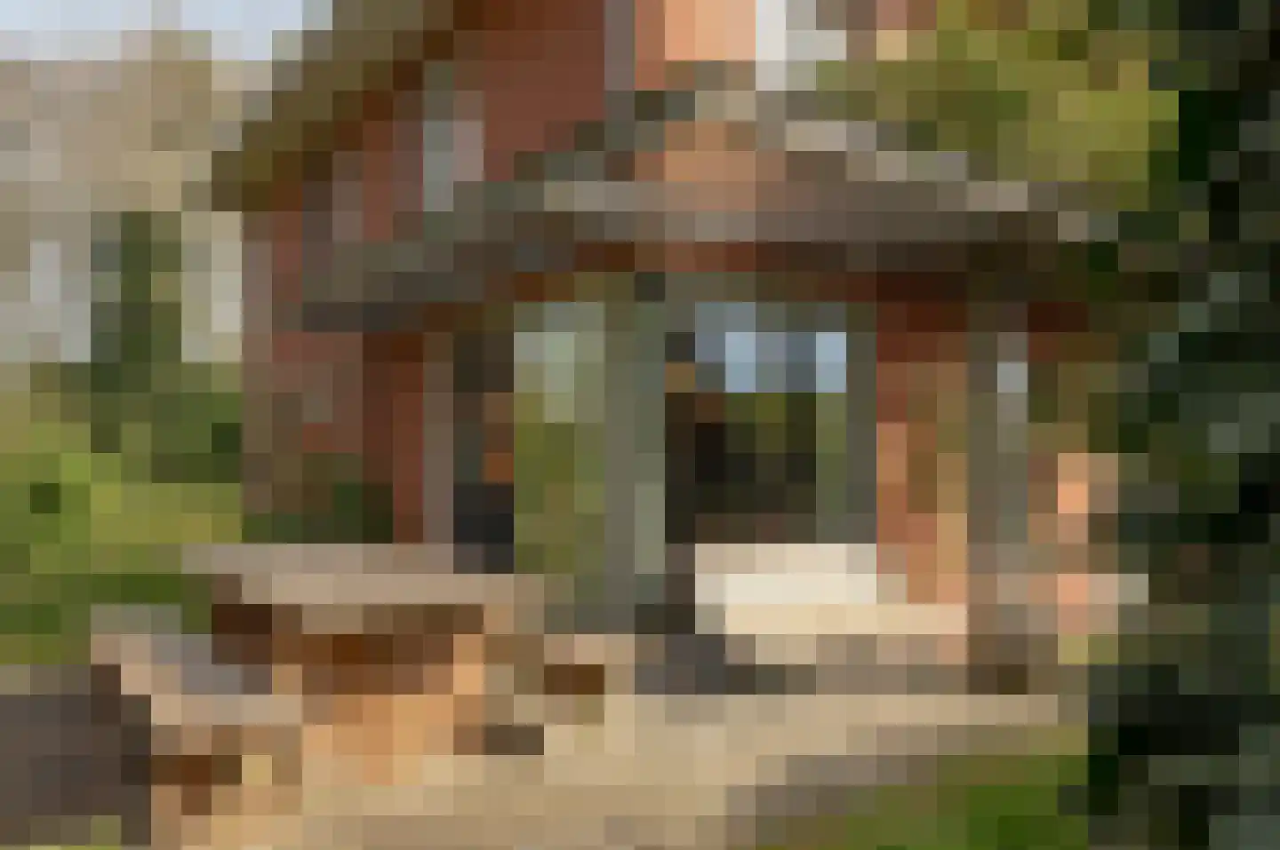 Lepelstraat 11 Achtmaal thumbnail 33