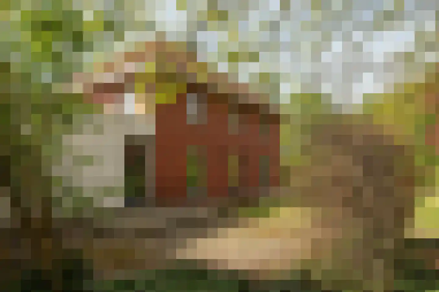 Lepelstraat 11 Achtmaal thumbnail 37
