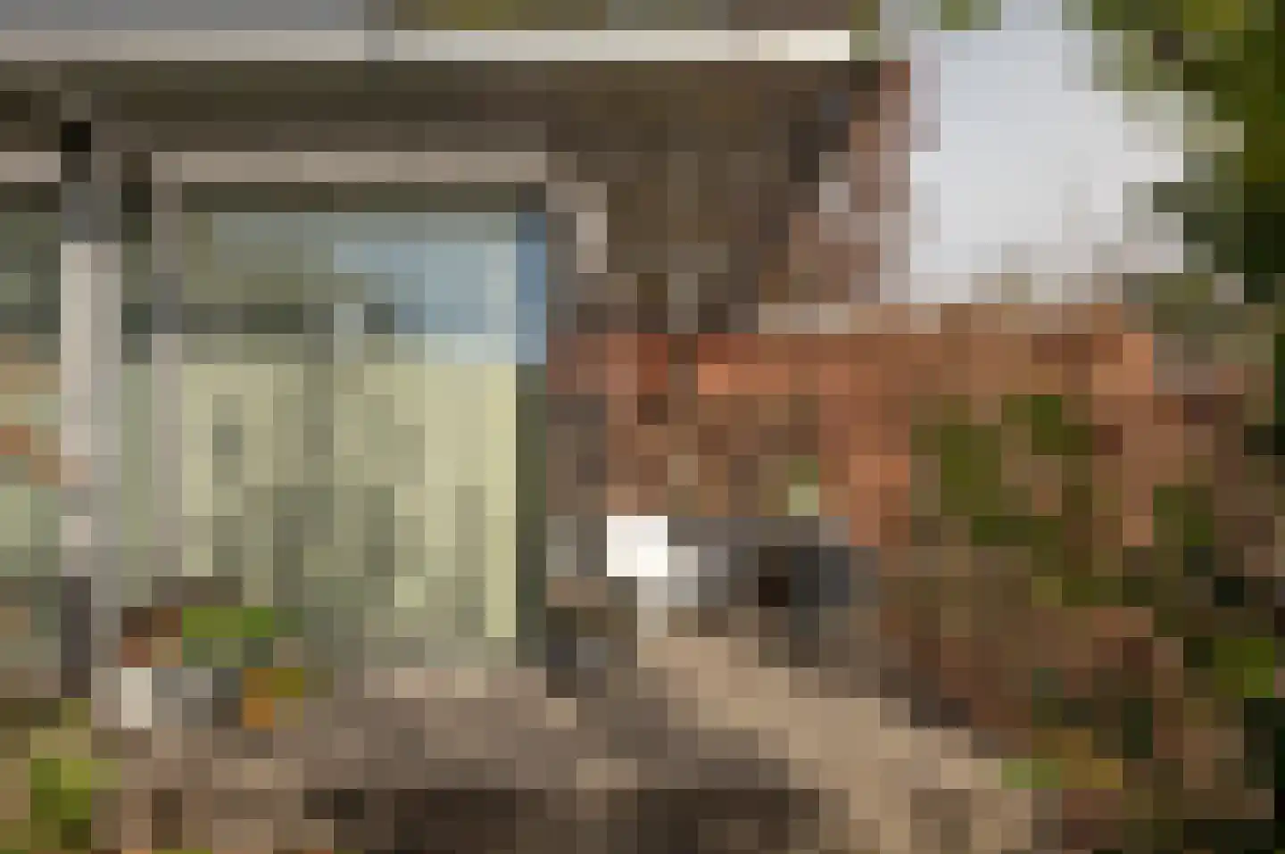 Lepelstraat 11 Achtmaal thumbnail 41