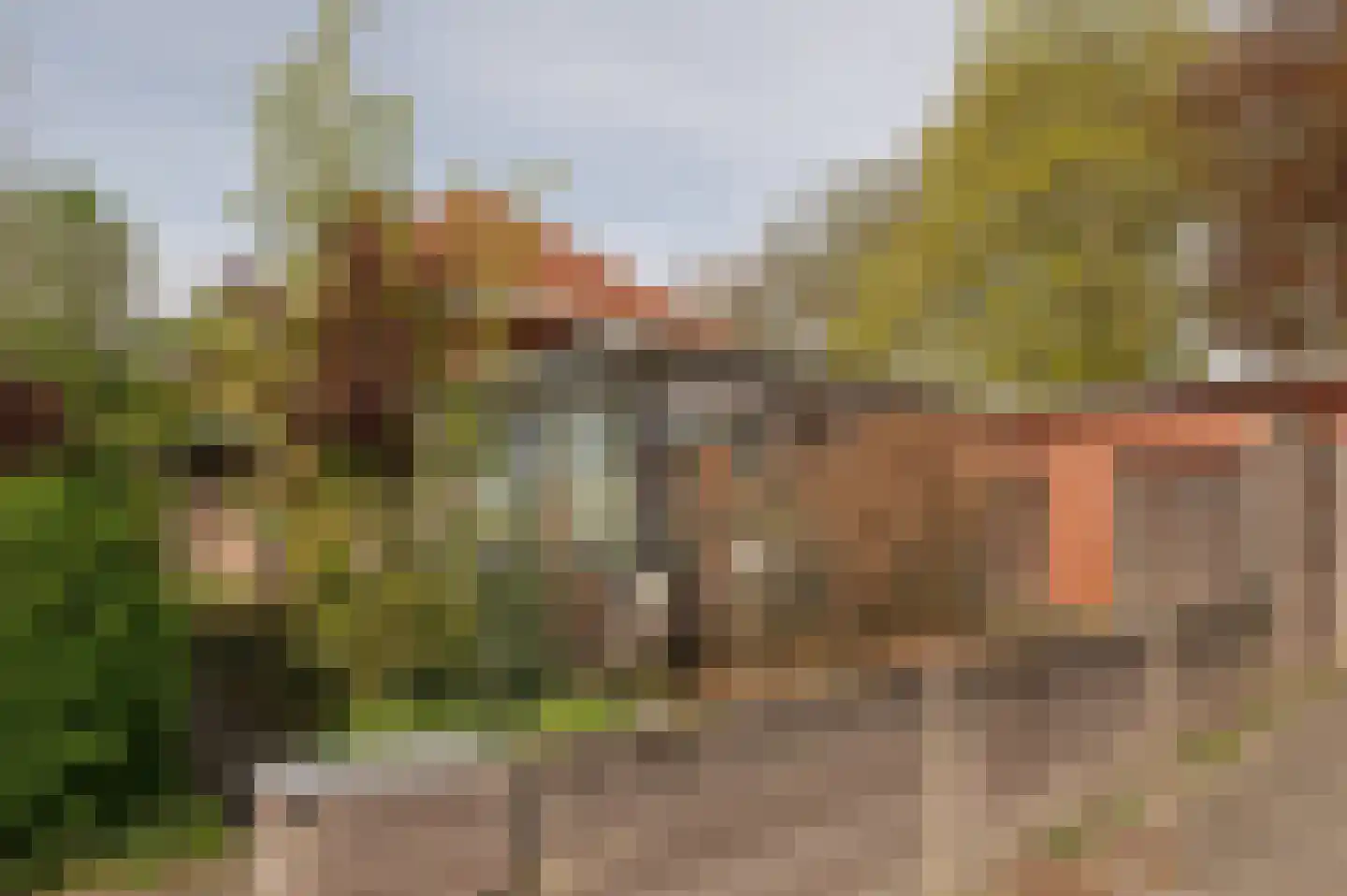 Lepelstraat 11 Achtmaal thumbnail 43