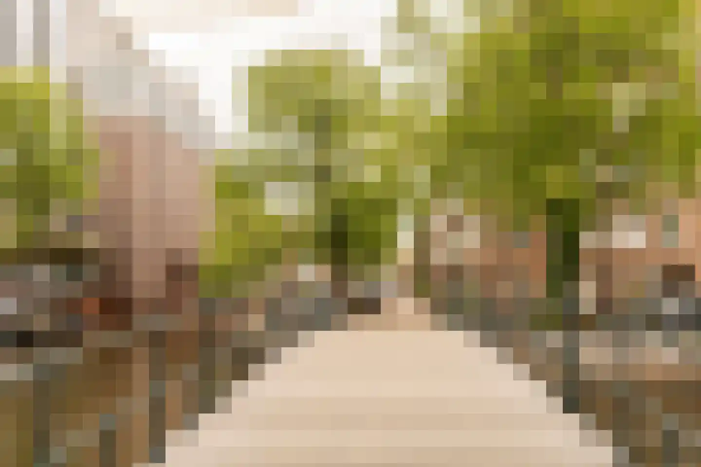 Lepelstraat 2 2 Amsterdam thumbnail 23