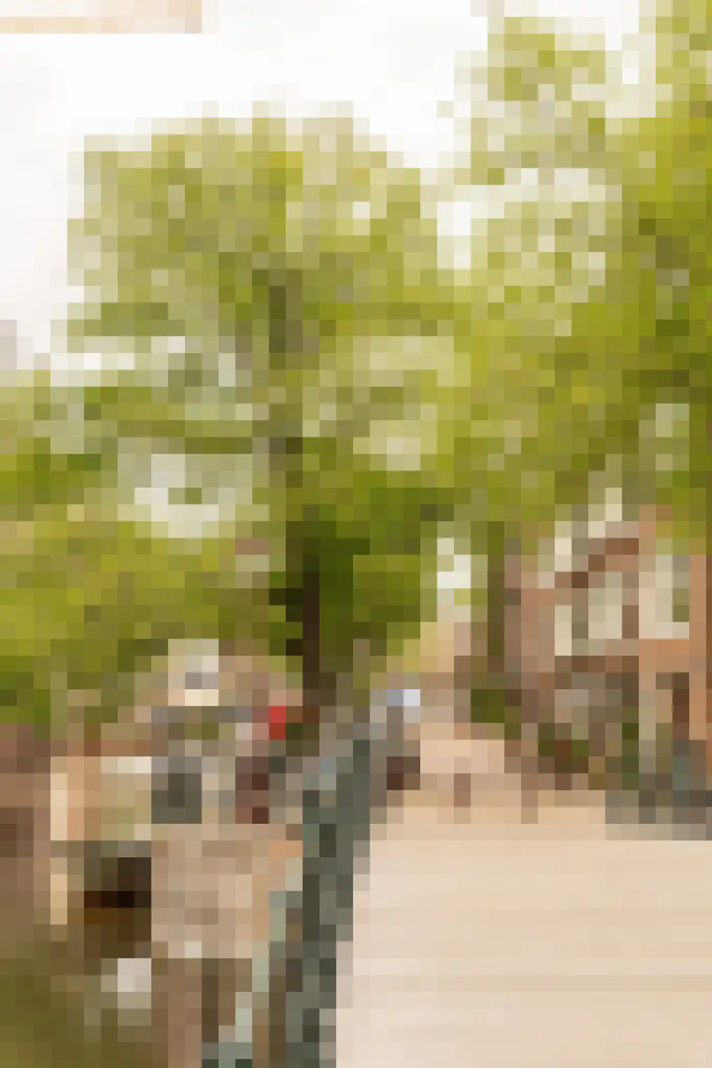 Lepelstraat 2 2 Amsterdam thumbnail 24