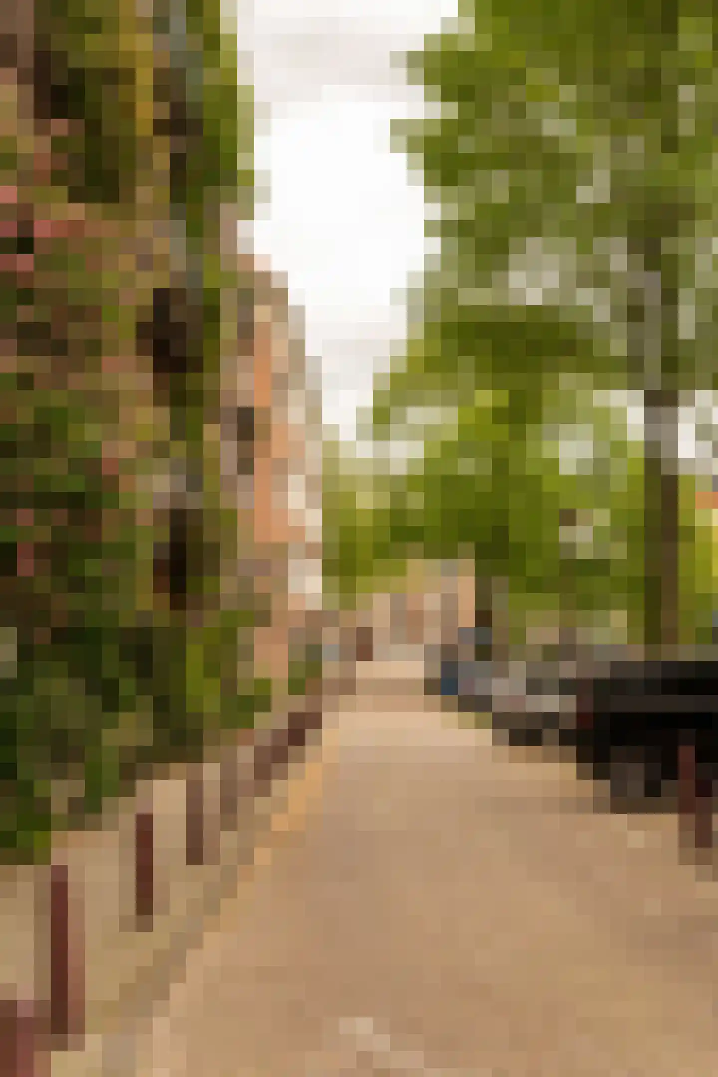 Lepelstraat 2 2 Amsterdam thumbnail 25