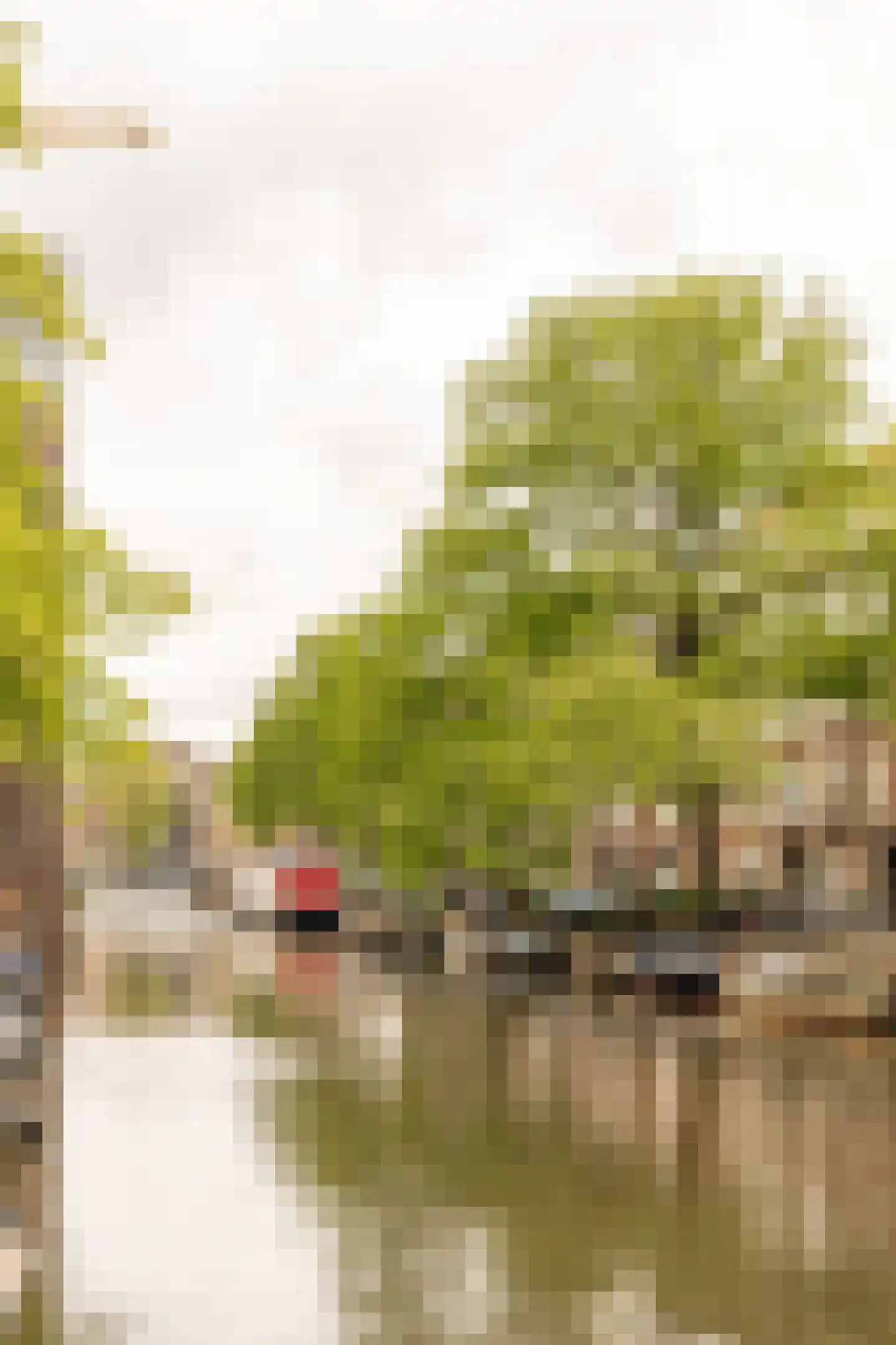 Lepelstraat 2 2 Amsterdam thumbnail 26