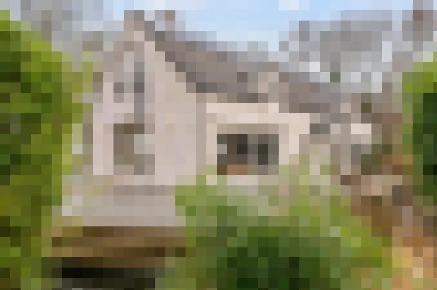 Lepelstraat 27 Achtmaal thumbnail 4