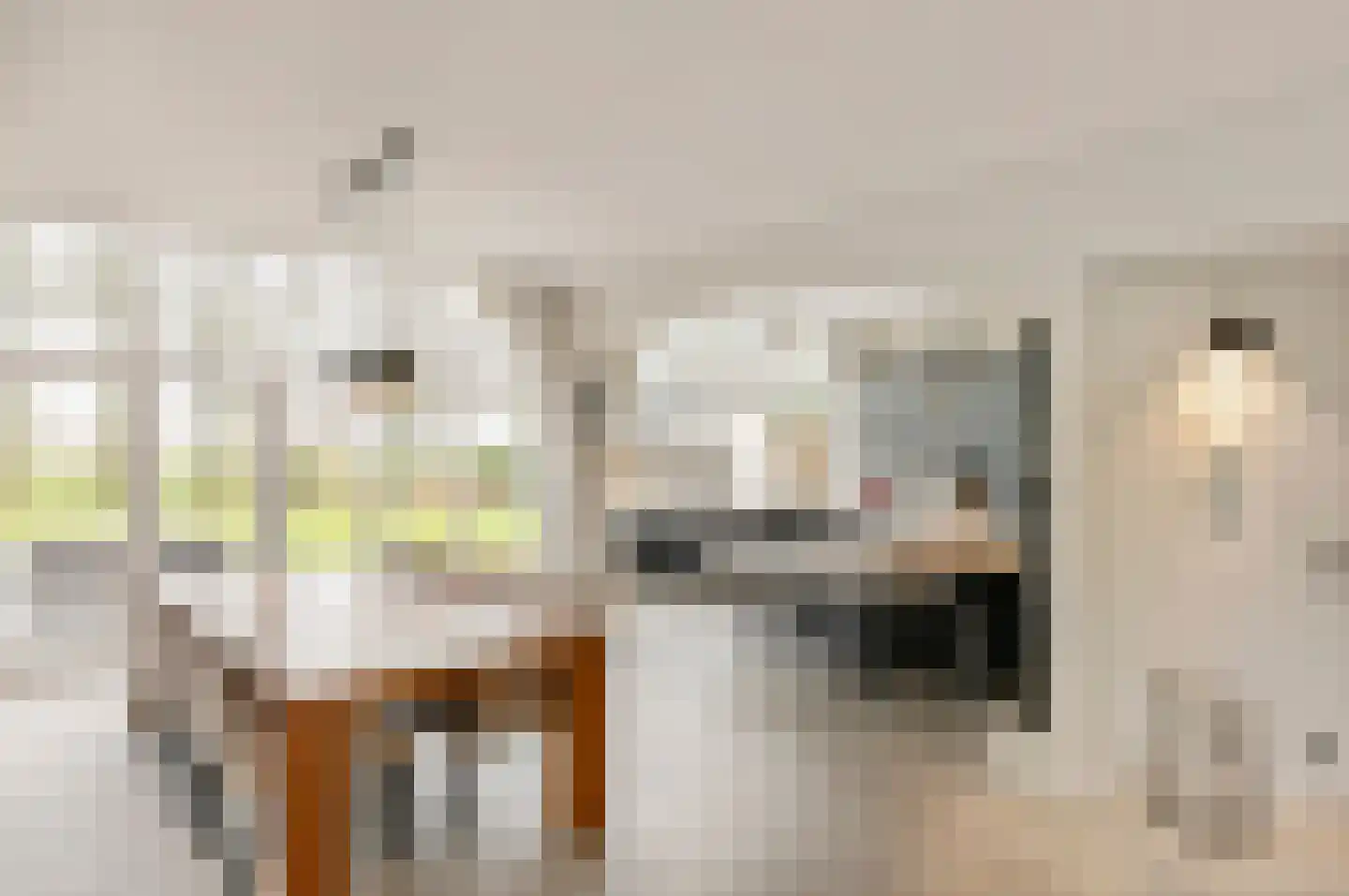 Lepelstraat 27 Achtmaal thumbnail 43