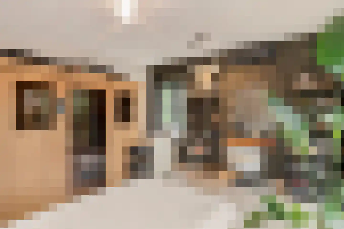 Lepelstraat 27 Achtmaal thumbnail 51
