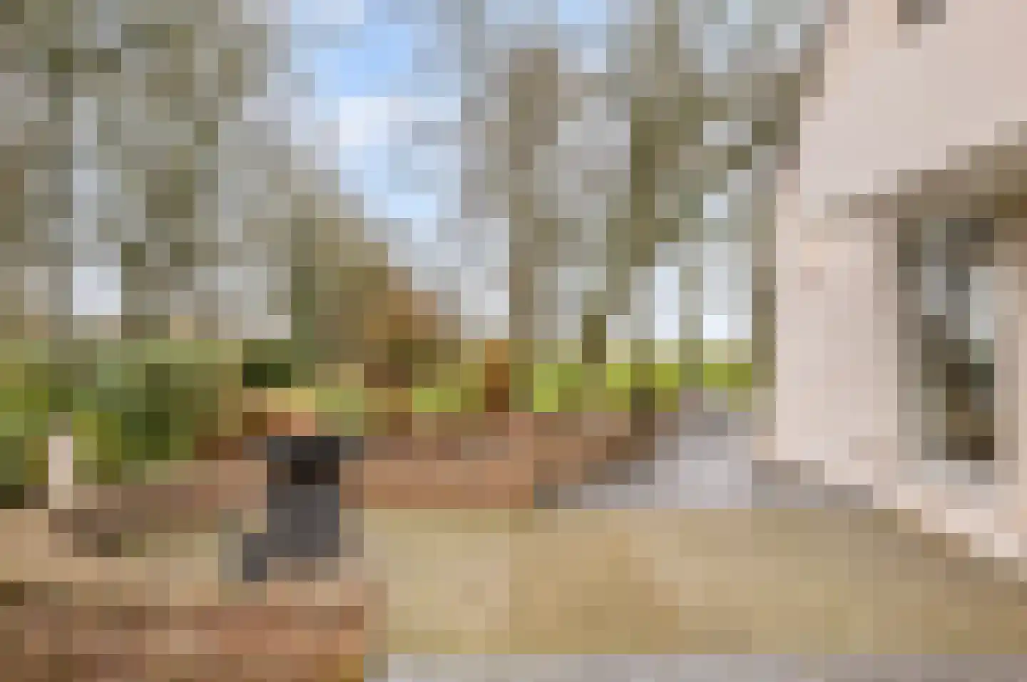 Lepelstraat 27 Achtmaal thumbnail 7