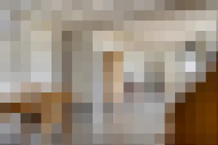Lepelstraat 35 Wanroij thumbnail 16
