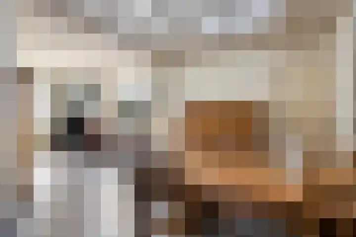 Lepelstraat 35 Wanroij thumbnail 18
