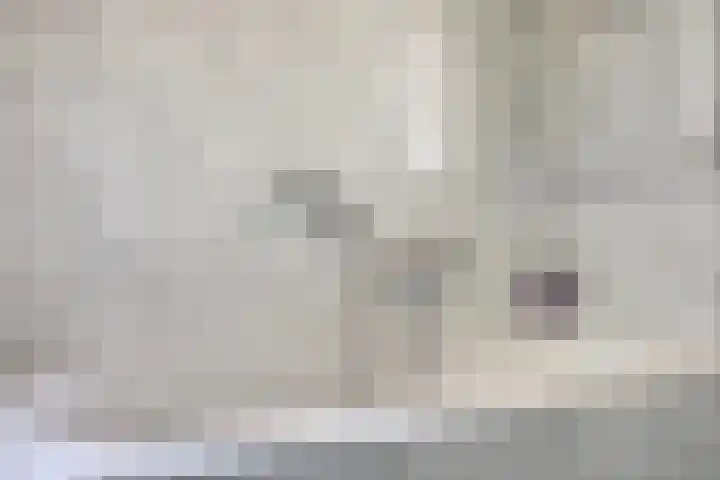 Lepelstraat 35 Wanroij thumbnail 31