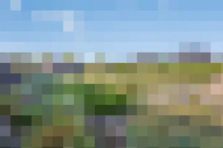 Lepelstraat 35 Wanroij thumbnail 4
