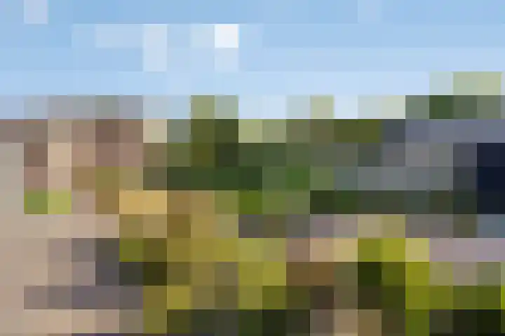 Lepelstraat 35 Wanroij thumbnail 44