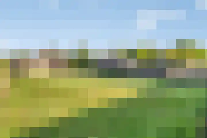 Lepelstraat 35 Wanroij thumbnail 47