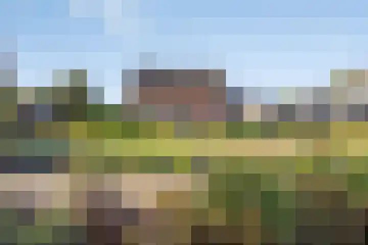 Lepelstraat 35 Wanroij thumbnail 5