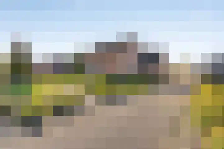 Lepelstraat 35 Wanroij thumbnail 7