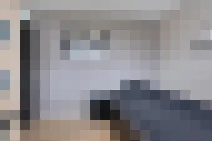 Lepeltjesheide 10 Wolvega thumbnail 11