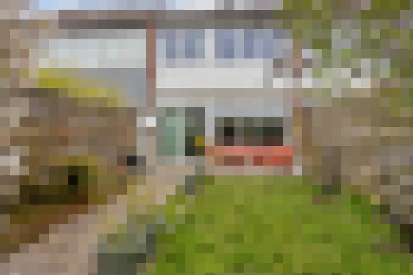 Lepeltjesheide 10 Wolvega thumbnail 18