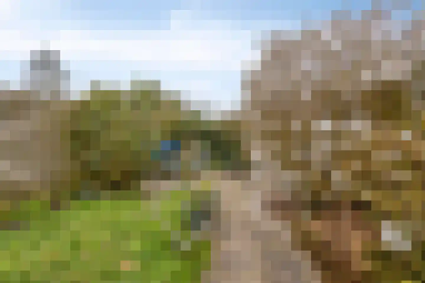 Lepeltjesheide 10 Wolvega thumbnail 19