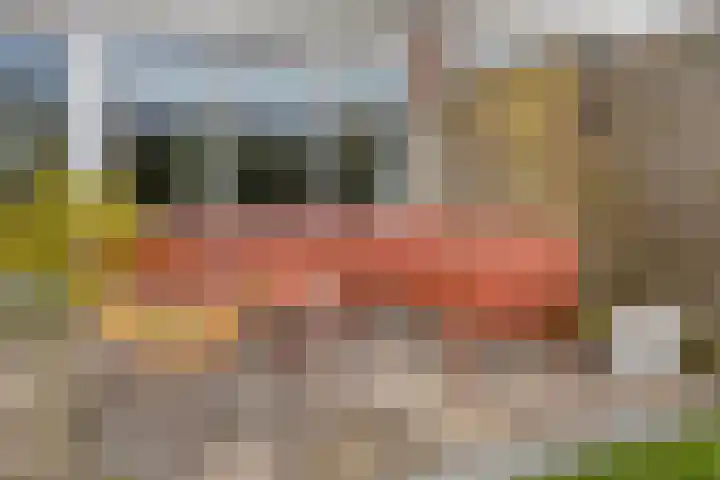 Lepeltjesheide 10 Wolvega thumbnail 20
