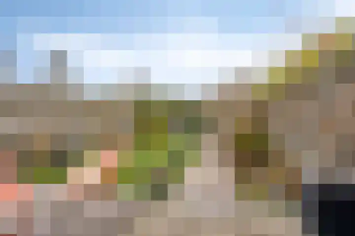 Lepeltjesheide 10 Wolvega thumbnail 21