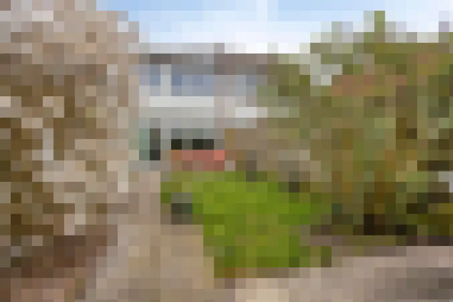Lepeltjesheide 10 Wolvega thumbnail 22