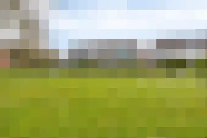 Lepeltjesheide 10 Wolvega thumbnail 27