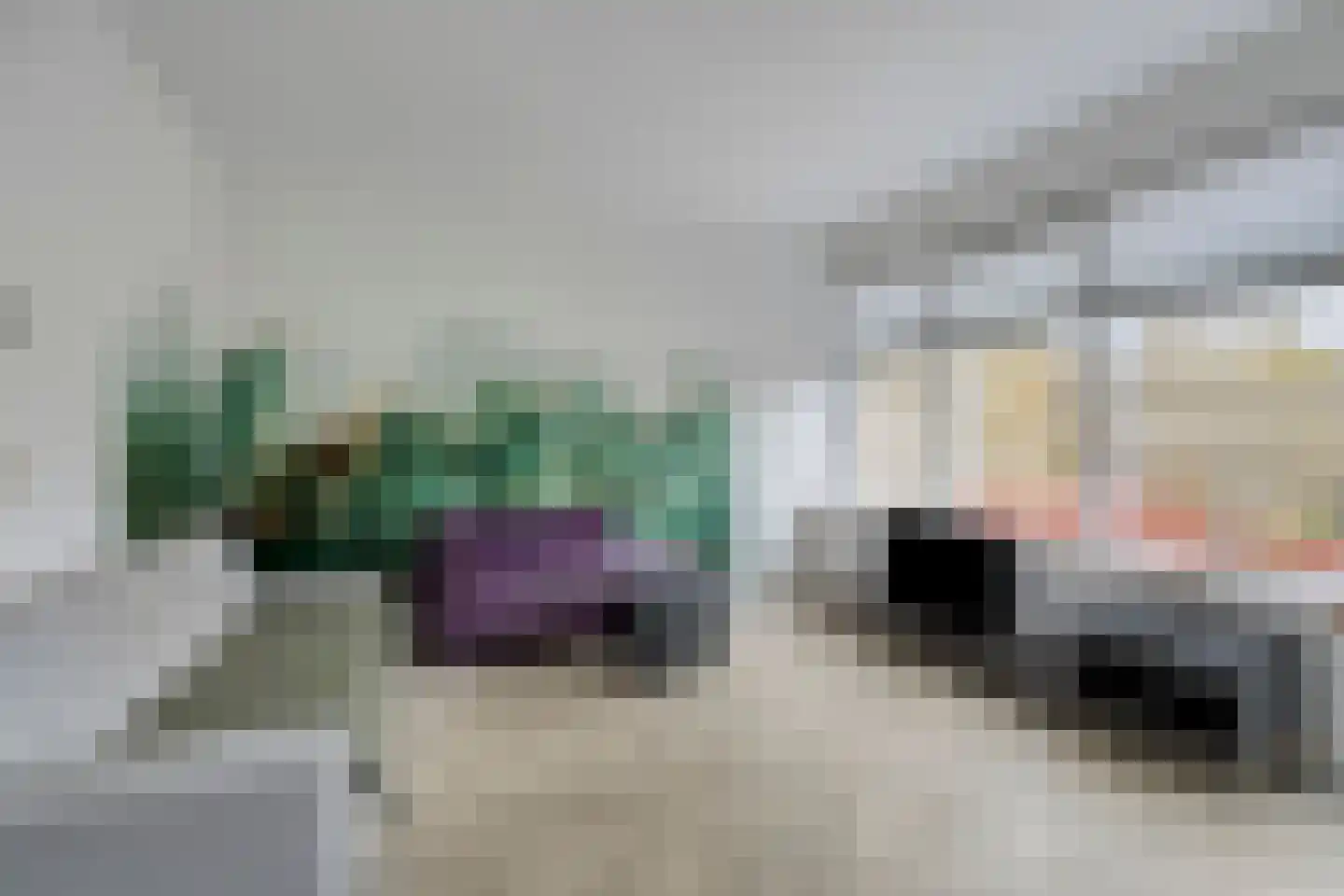 Lepeltjesheide 10 Wolvega thumbnail 4