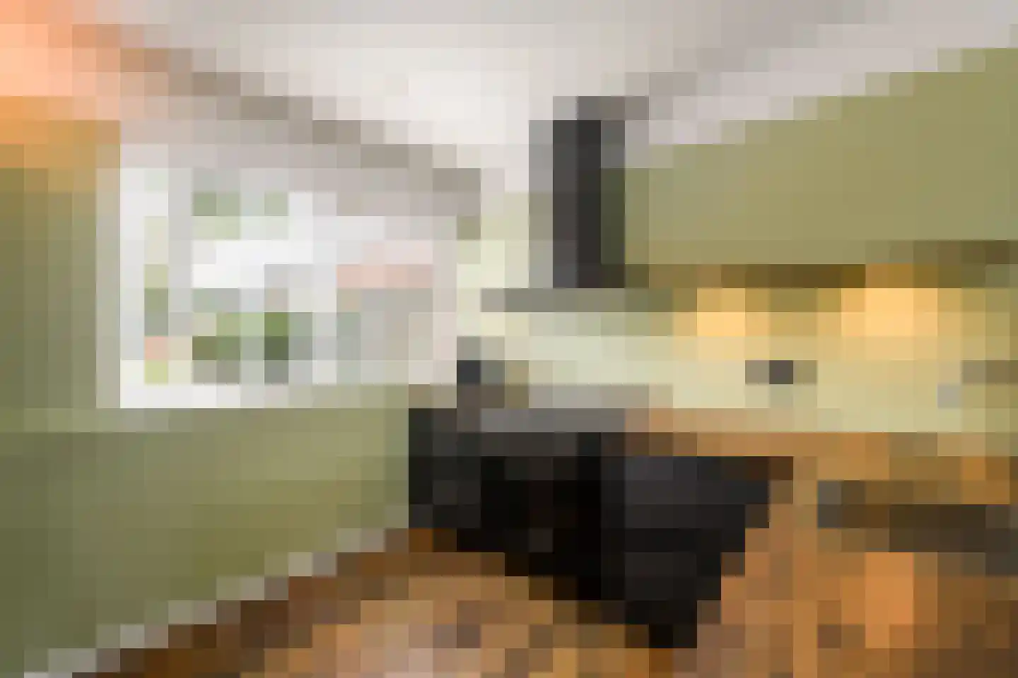 Lepeltjesheide 117 Wolvega thumbnail 11