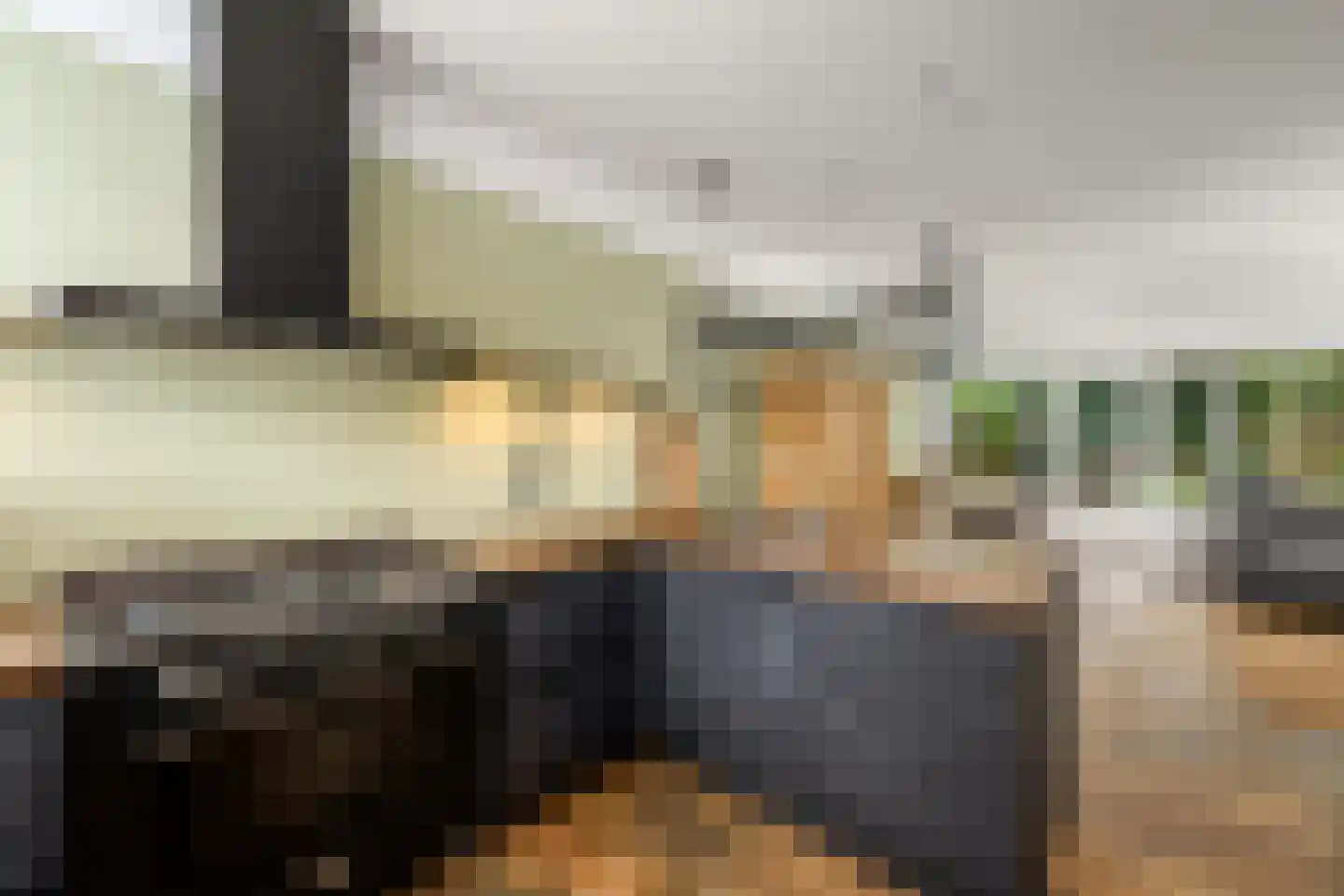 Lepeltjesheide 117 Wolvega thumbnail 12