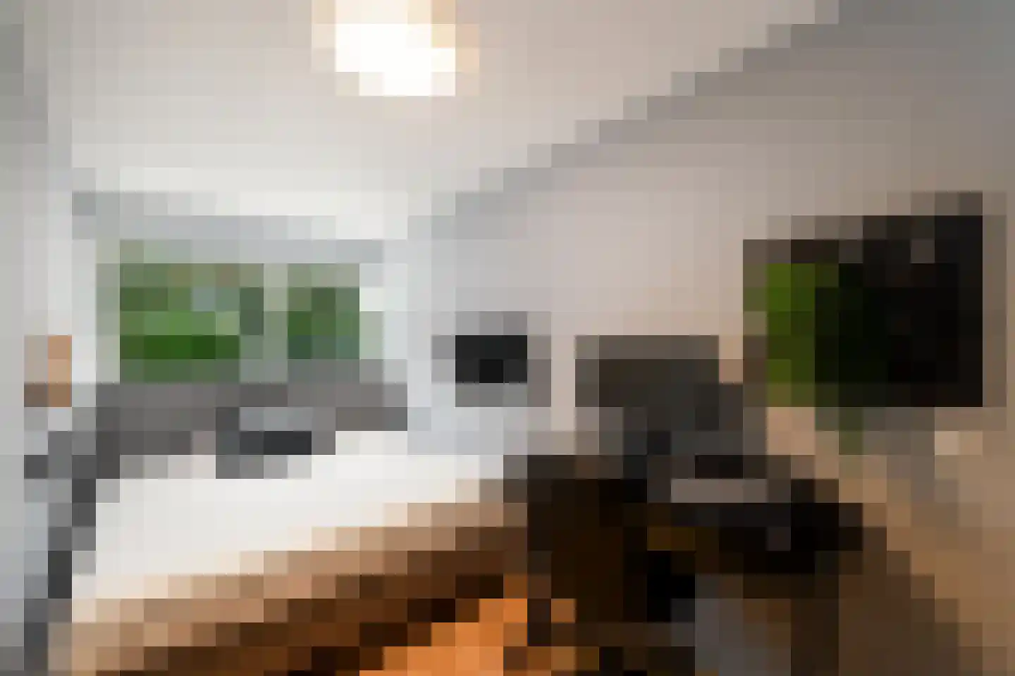 Lepeltjesheide 117 Wolvega thumbnail 21