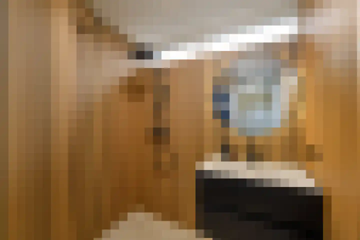 Lepeltjesheide 117 Wolvega thumbnail 24