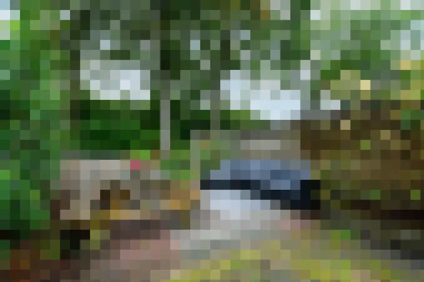Lepeltjesheide 117 Wolvega thumbnail 33