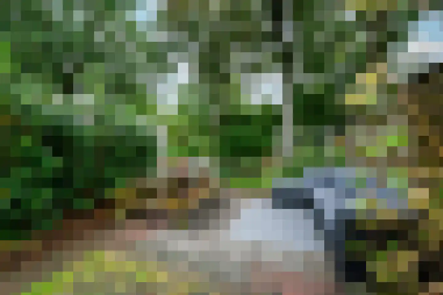 Lepeltjesheide 117 Wolvega thumbnail 34