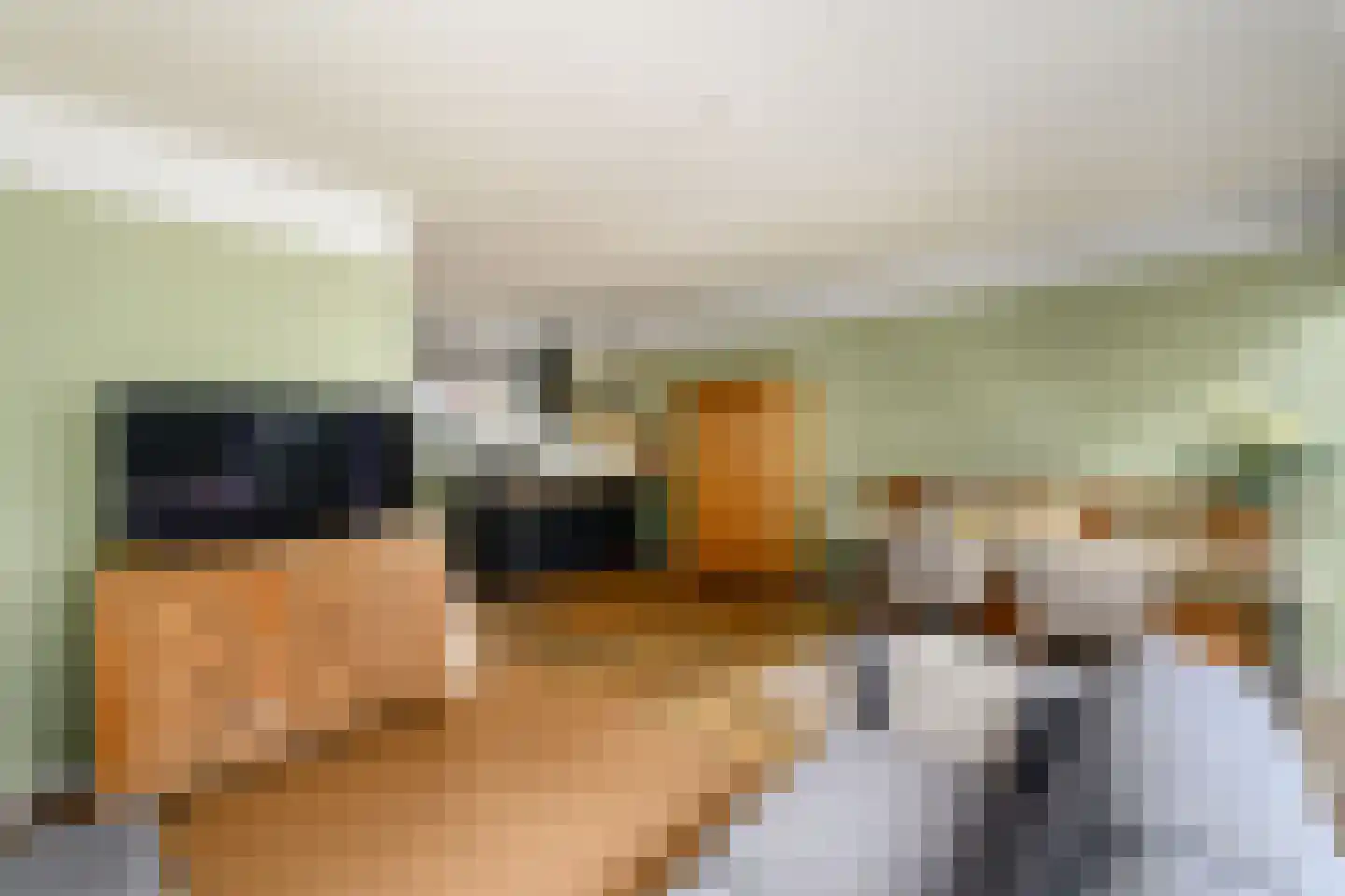 Lepeltjesheide 117 Wolvega thumbnail 6