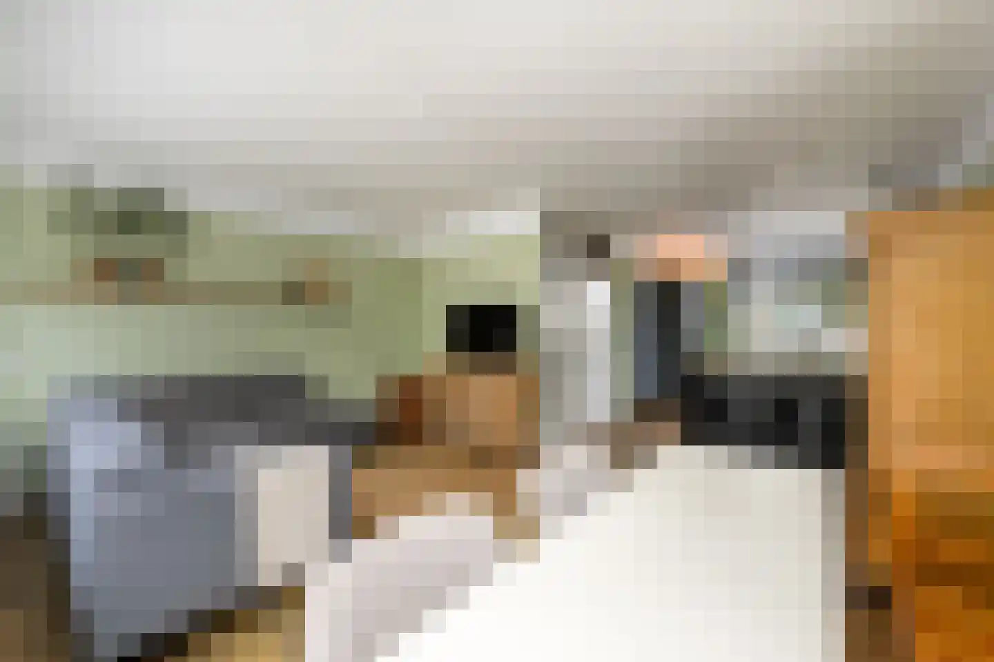 Lepeltjesheide 117 Wolvega thumbnail 7
