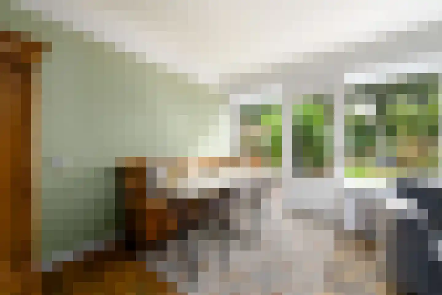 Lepeltjesheide 117 Wolvega thumbnail 9
