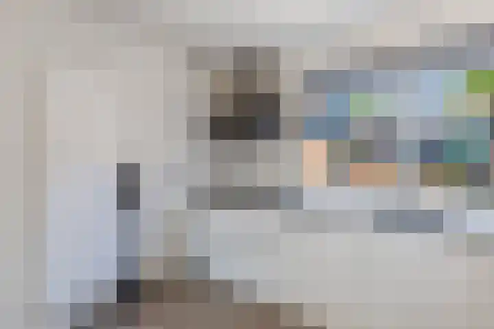 Lepeltjesheide 24 Wolvega thumbnail 18