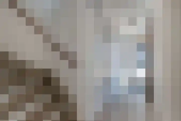 Lepeltjesheide 24 Wolvega thumbnail 20