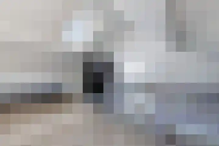 Lepeltjesheide 24 Wolvega thumbnail 38