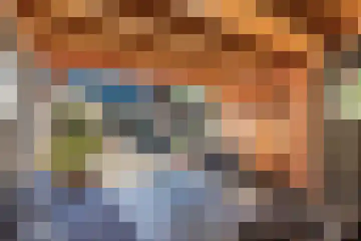 Lepeltjesheide 24 Wolvega thumbnail 45