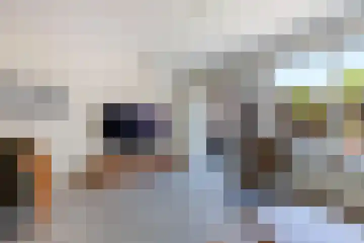 Lepeltjesheide 24 Wolvega thumbnail 9