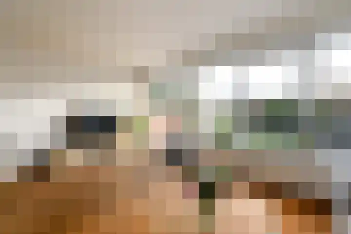 Lepeltjesheide 46 Wolvega thumbnail 10