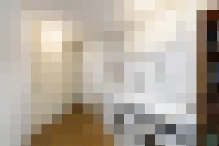 Lepeltjesheide 46 Wolvega thumbnail 13