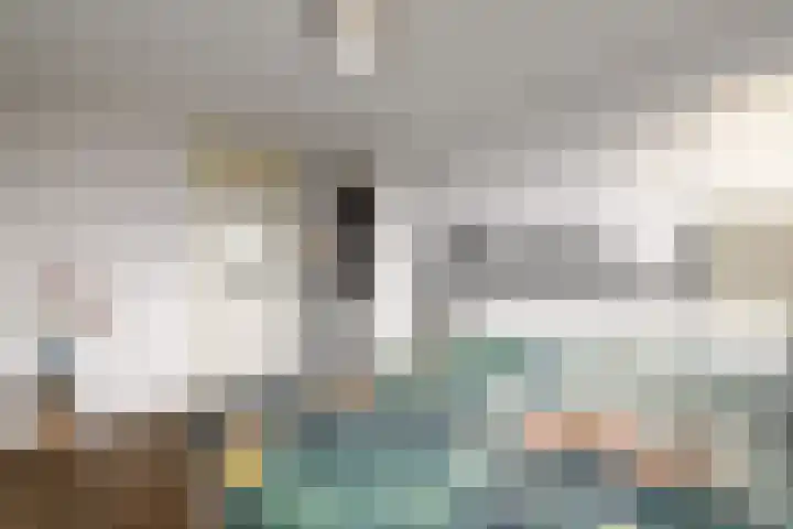 Lepeltjesheide 46 Wolvega thumbnail 16