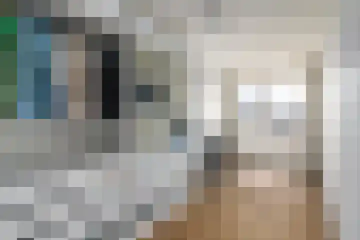 Lepeltjesheide 46 Wolvega thumbnail 18