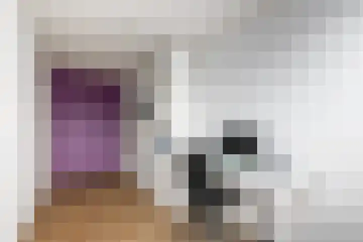 Lepeltjesheide 46 Wolvega thumbnail 19