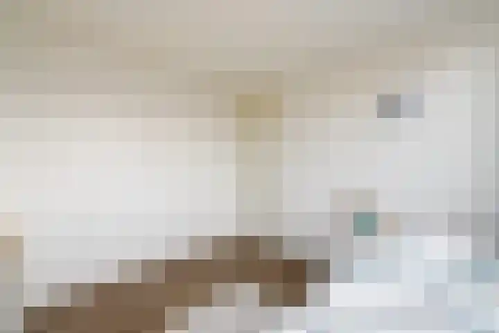 Lepeltjesheide 46 Wolvega thumbnail 22