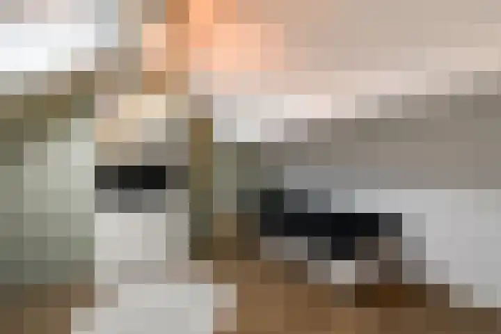 Lepeltjesheide 46 Wolvega thumbnail 26